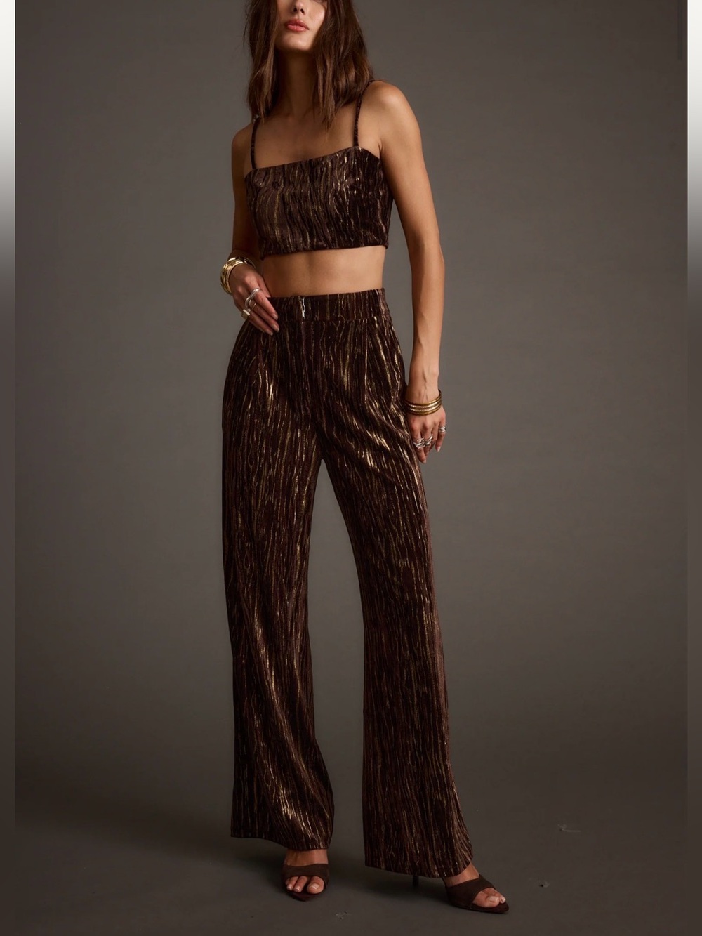 Metallic Brown Wide-Leg Pants and Crop set